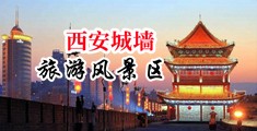 美女插视频网站中国陕西-西安城墙旅游风景区