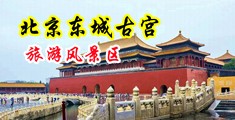 逼逼任你操中国北京-东城古宫旅游风景区